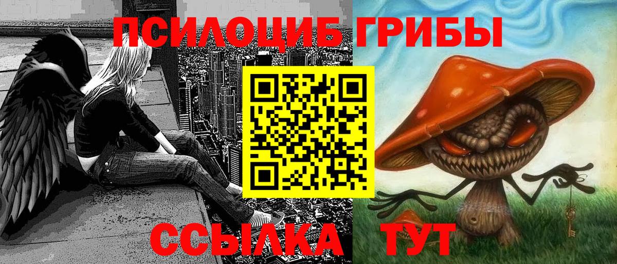 Псилоцибиновые грибы Psilocybine cubensis Соль-Илецк