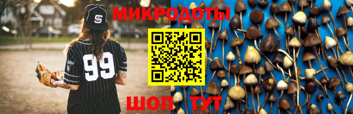 Галлюциногенные грибы прущие грибы  где купить   Вход с VPN  Соль-Илецк  Псилоцибиновые грибы MAGIC MUSHROOMS 